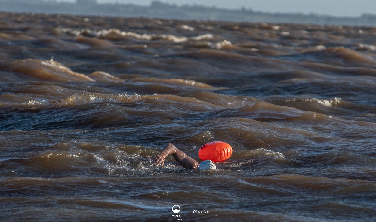 Nadador en pleno cruce del Río de la Plata